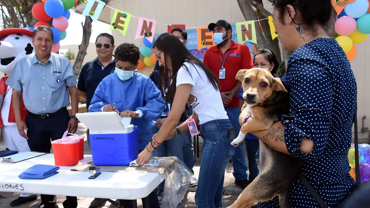 vacunacion de mascotas  (2)